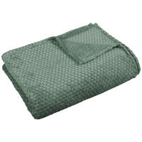 Wohndecke Flanell Flanelldecke Kreise mint - mint (140,00/200,00cm)