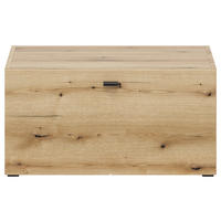 Regal System 64 Eiche Evoke Oak Nachbildung B/H/T: ca. 64x32x35 cm System 64 - Eiche (64,00/32,00/35,00cm)