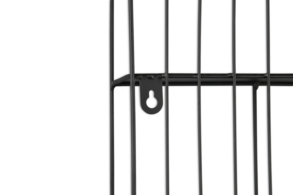 Wandregal Ivy schwarz B/H/T: ca. 55x54x11 cm Ivy - schwarz (55,00/54,00/11,00cm)