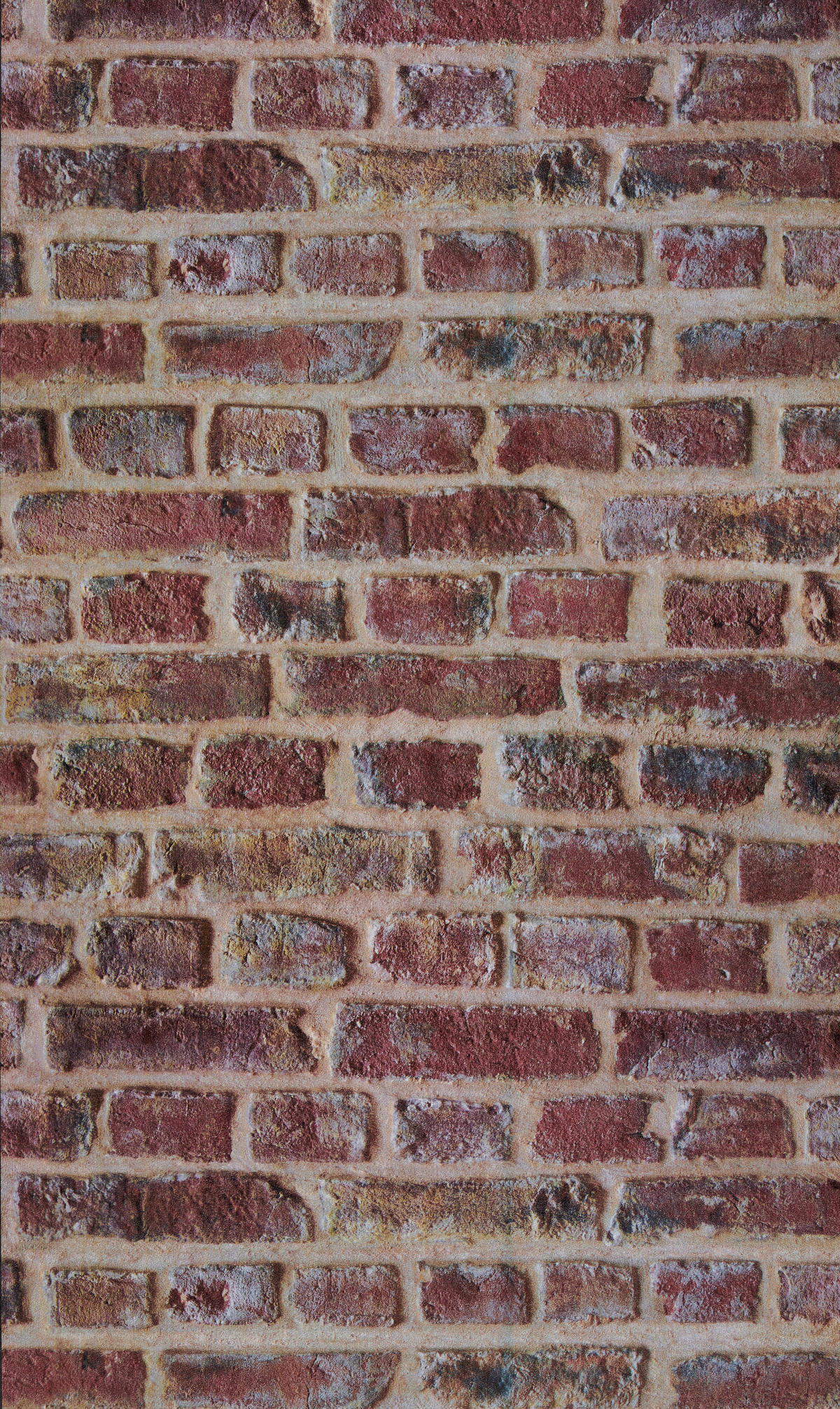 Vliestapete rot B/L: ca. 53x1005 cm Vliestapete_37161-1_Einfach_schöner - rot (53,00/1005,00cm)