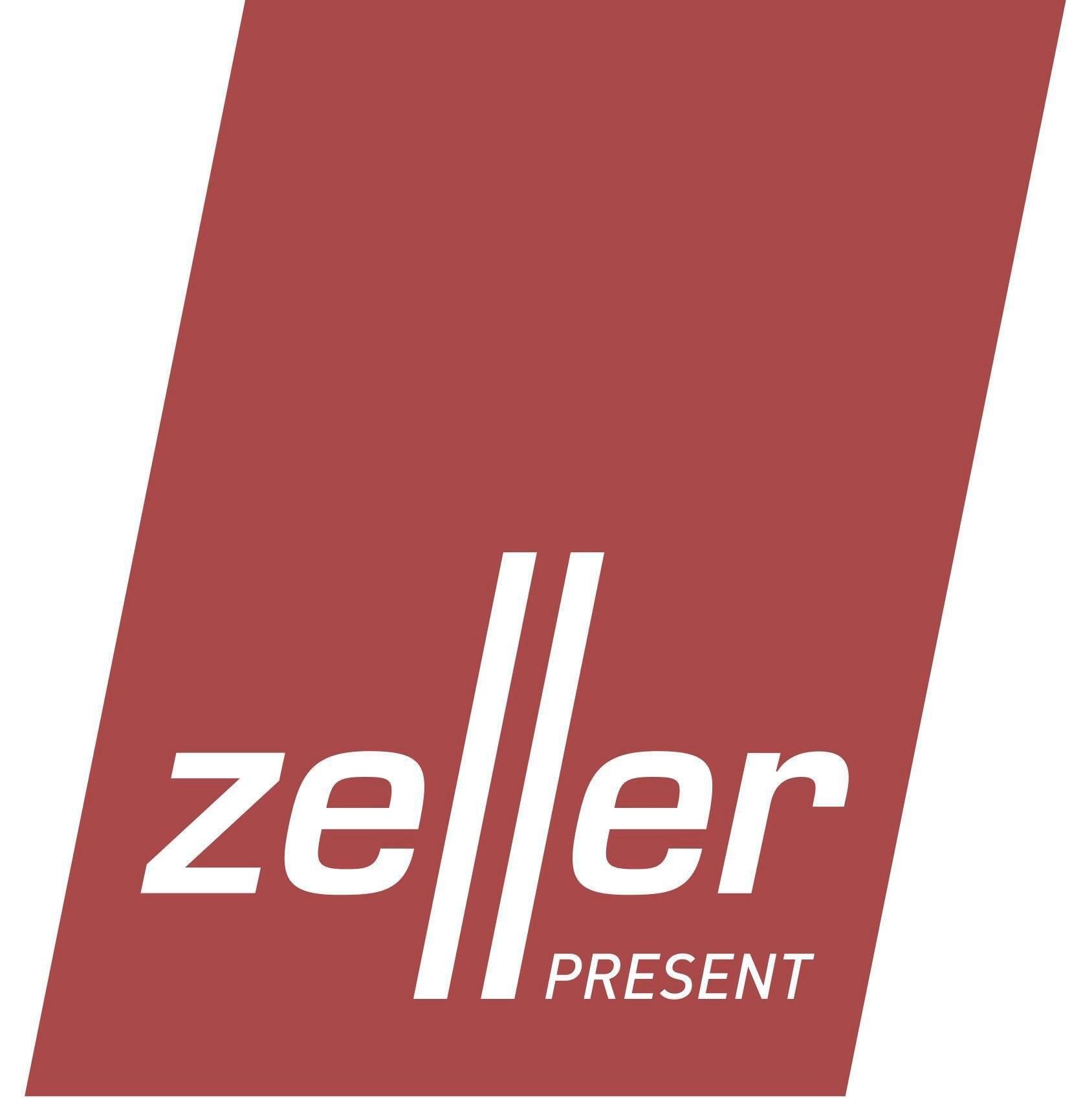 Zeller Leiter-Regal natur Bambus B/H/L: ...