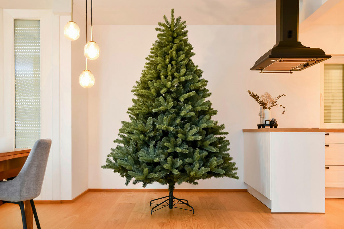 Evergreen Weihnachtsbaum Vermont Fichte Vermont Fichte - grün (160,00/160,00/240,00cm) - Evergreen