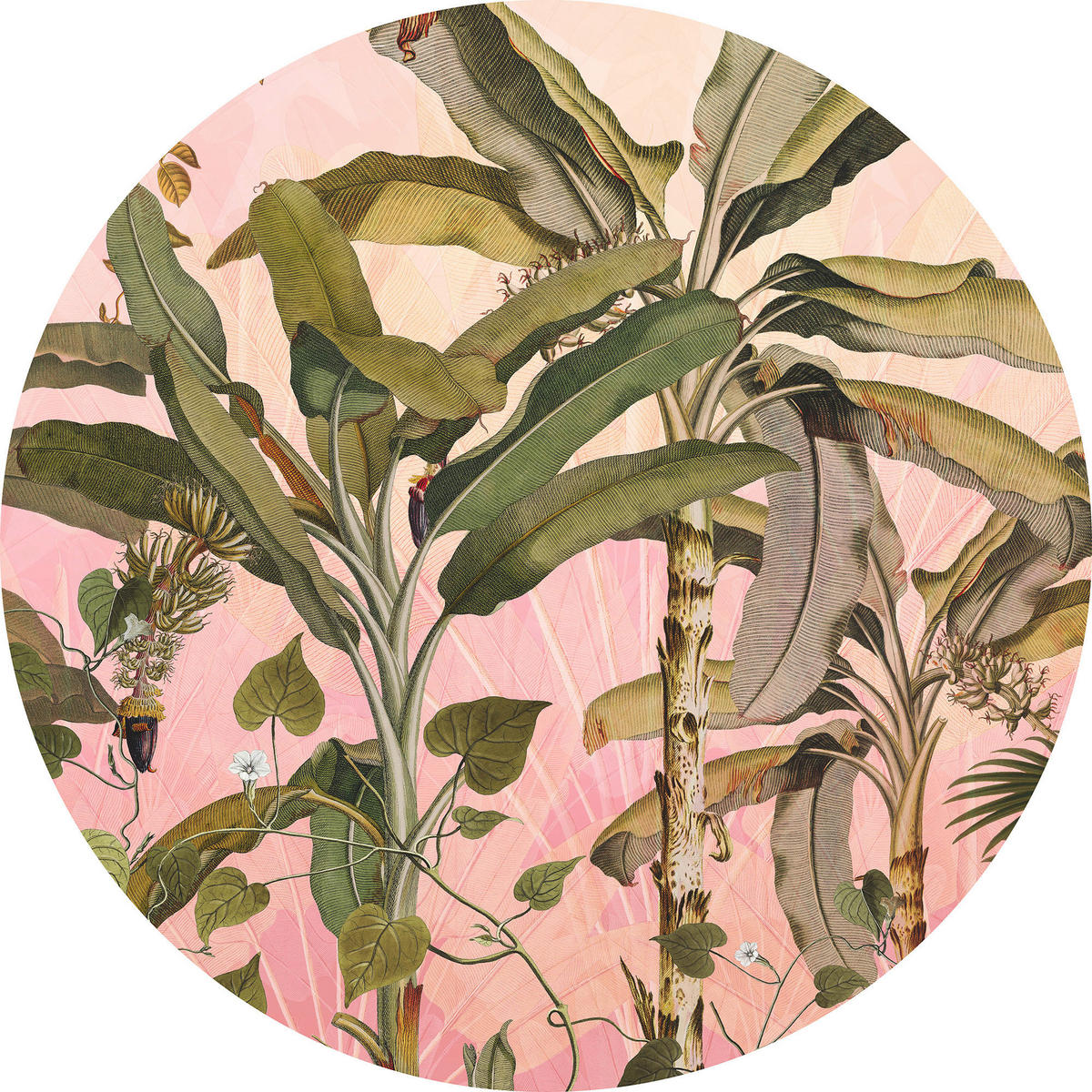 Komar Fototapete Botany D: ca. 125 cm Botany - (125,00cm) - Komar