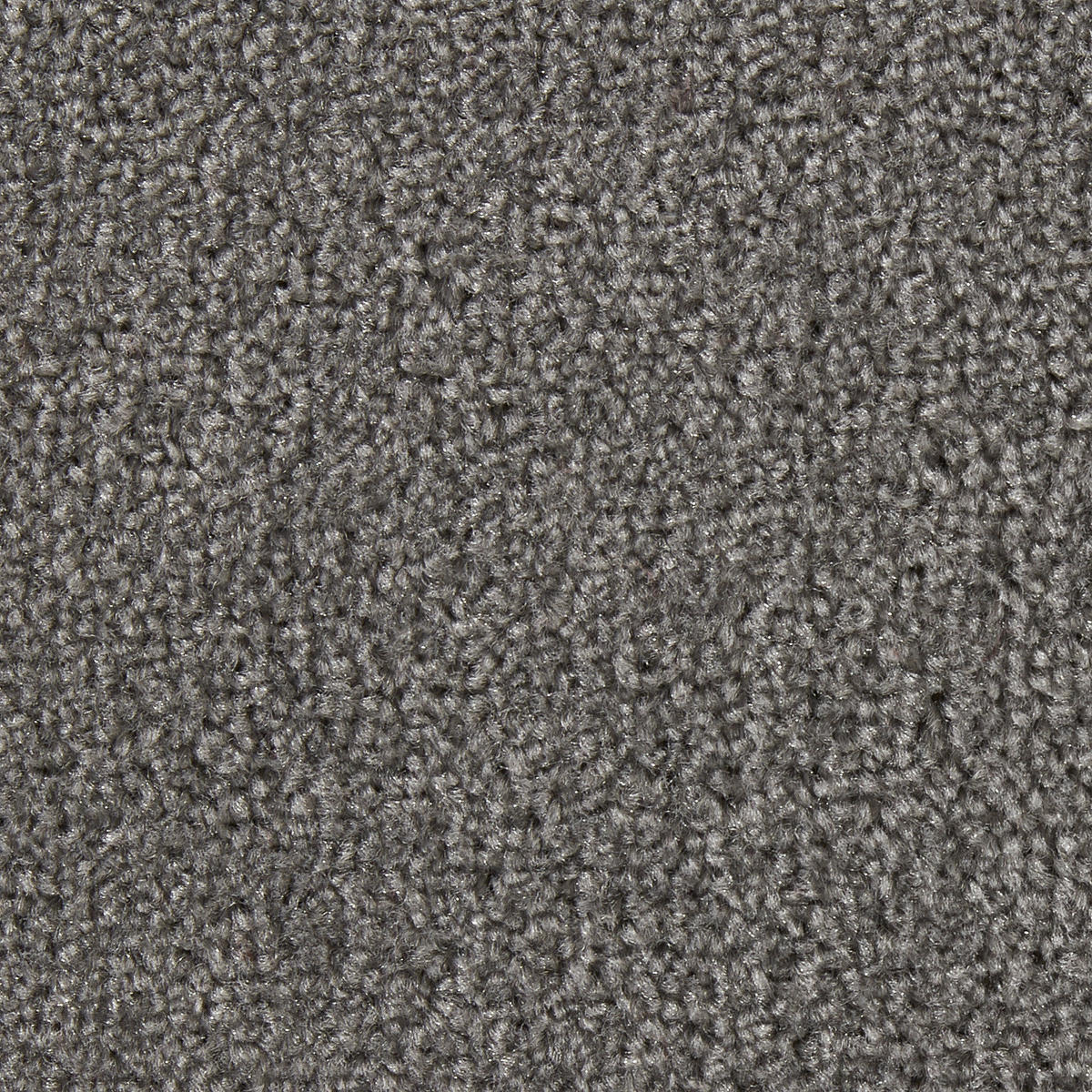 Teppichboden Dynasty grau B: ca. 400 cm pro m² Dynasty - grau (400,00cm)