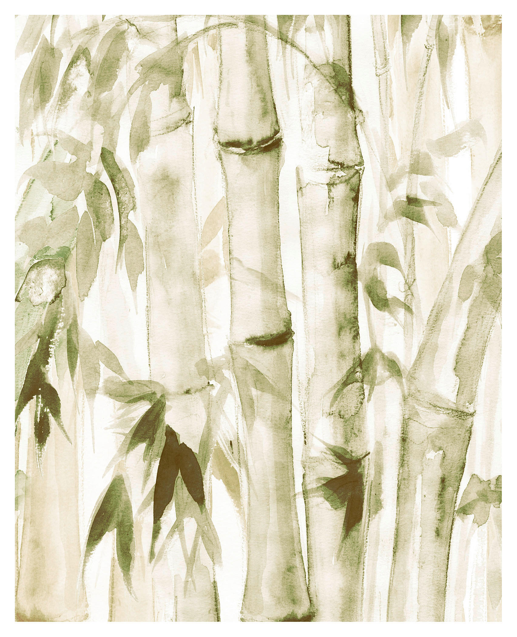 Komar Poster Wild Bamboo Bambus B/L: ca. 40x50 cm günstig online kaufen