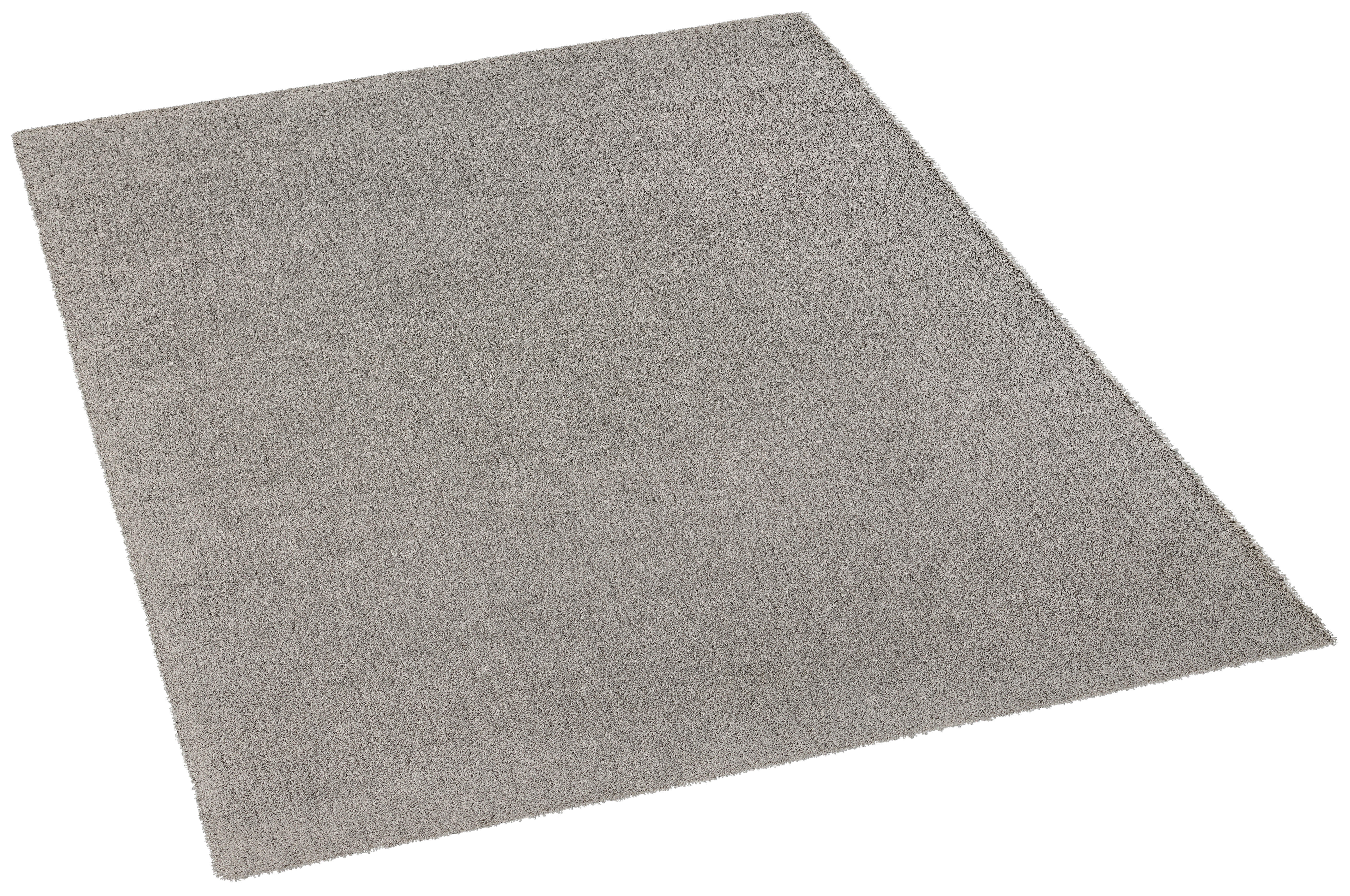 Webteppich Torino hellgrau B/L: ca. 120x170 cm Torino - hellgrau (120,00/170,00cm)
