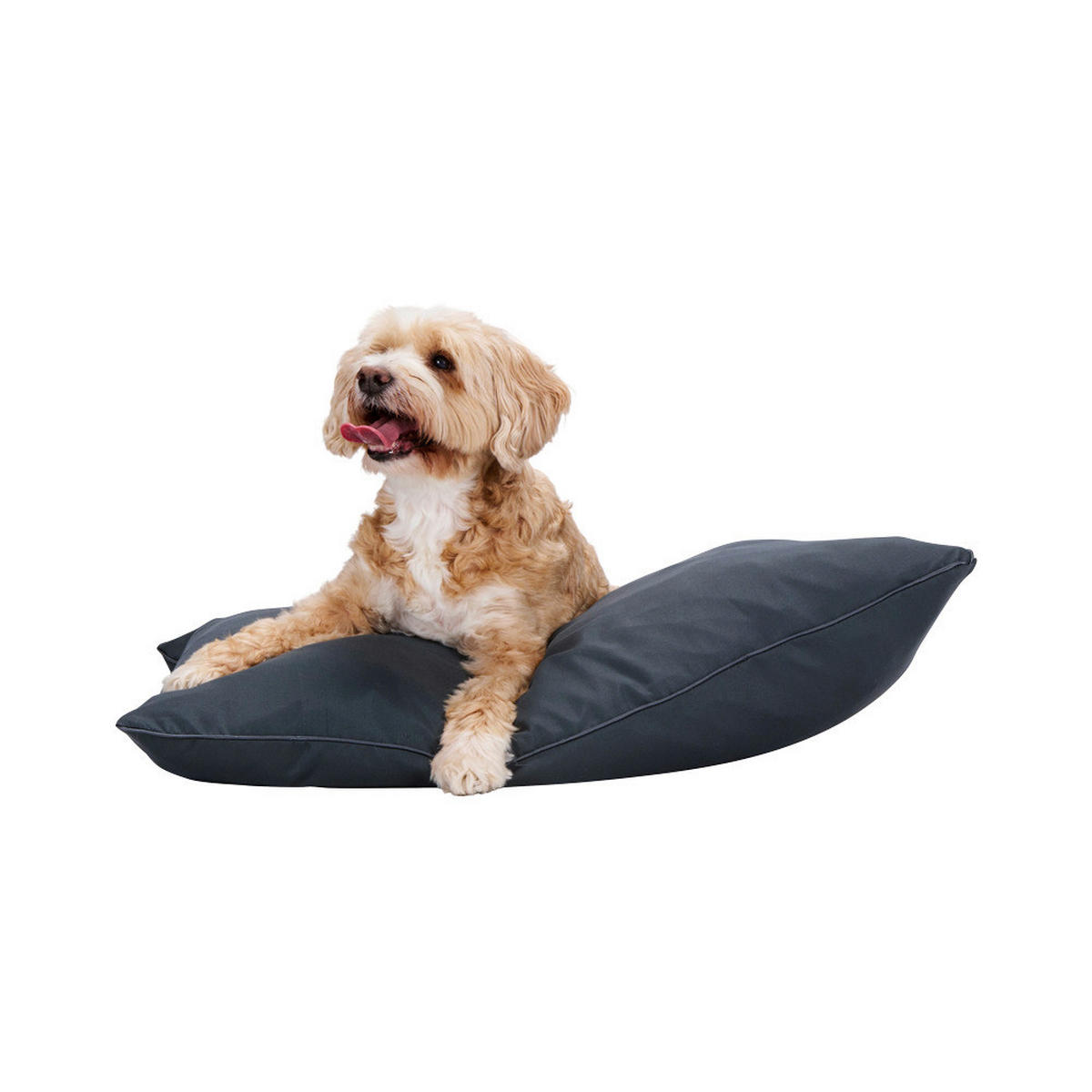 Haustierbett anthrazit Polyester B/H/L: ca. 60x15x80 cm Haustierkissen - anthrazit (80,00/60,00/15,00cm)