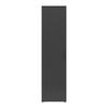 Schrank Multi-Stauraum Typ 51 anthrazit B/H/T: ca. 50x195x40 cm Multi-Stauraum Typ 51 - anthrazit (50,00/195,00/40,00cm)