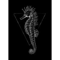 Komar Poster Sea Horse Black Tiere B/L: ca. 50x70 cm Sea Horse Black - (50,00/70,00cm) - Komar