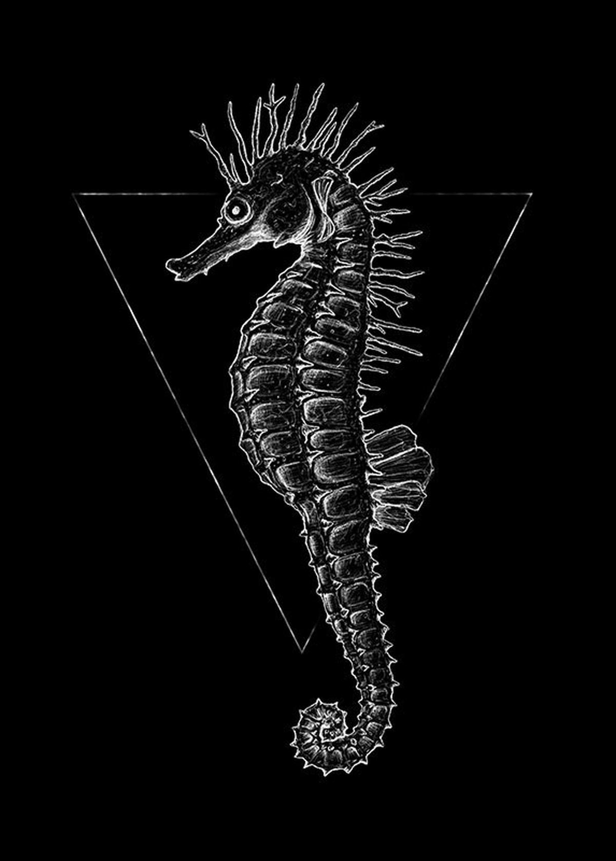 Komar Poster Sea Horse Black Tiere B/L: ca. 50x70 cm Sea Horse Black - (50,00/70,00cm) - Komar