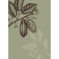 Komar Poster Wild Cocoa Pflanzen B/L: ca. 50x70 cm Wild Cocoa - (50,00/70,00cm) - Komar
