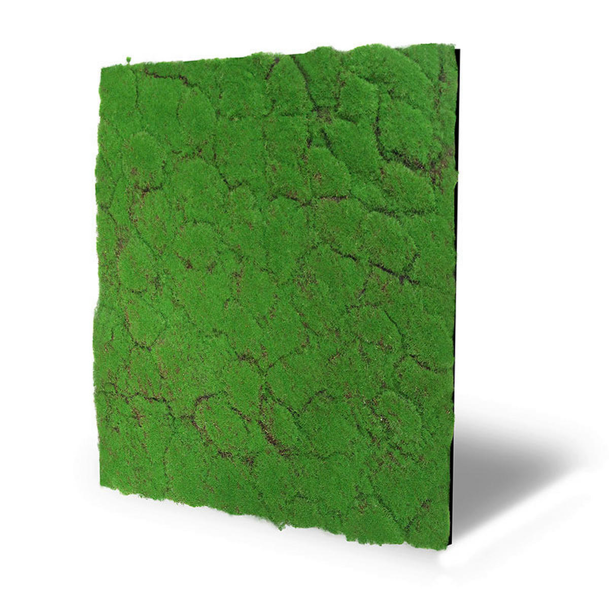 Wand-und Akustikpaneel grün L/B/H: ca. 52x52x0,2 cm pro Stück Wandpaneel 52x52 Moos - grün (52,00/52,00/0,20cm)