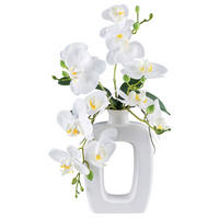 Kunstpflanze Phalaenopsis weiß Kunststoff B/H/L: ca. 16x42x17 cm Phalaenopsis - weiß (17,00/16,00/42,00cm)