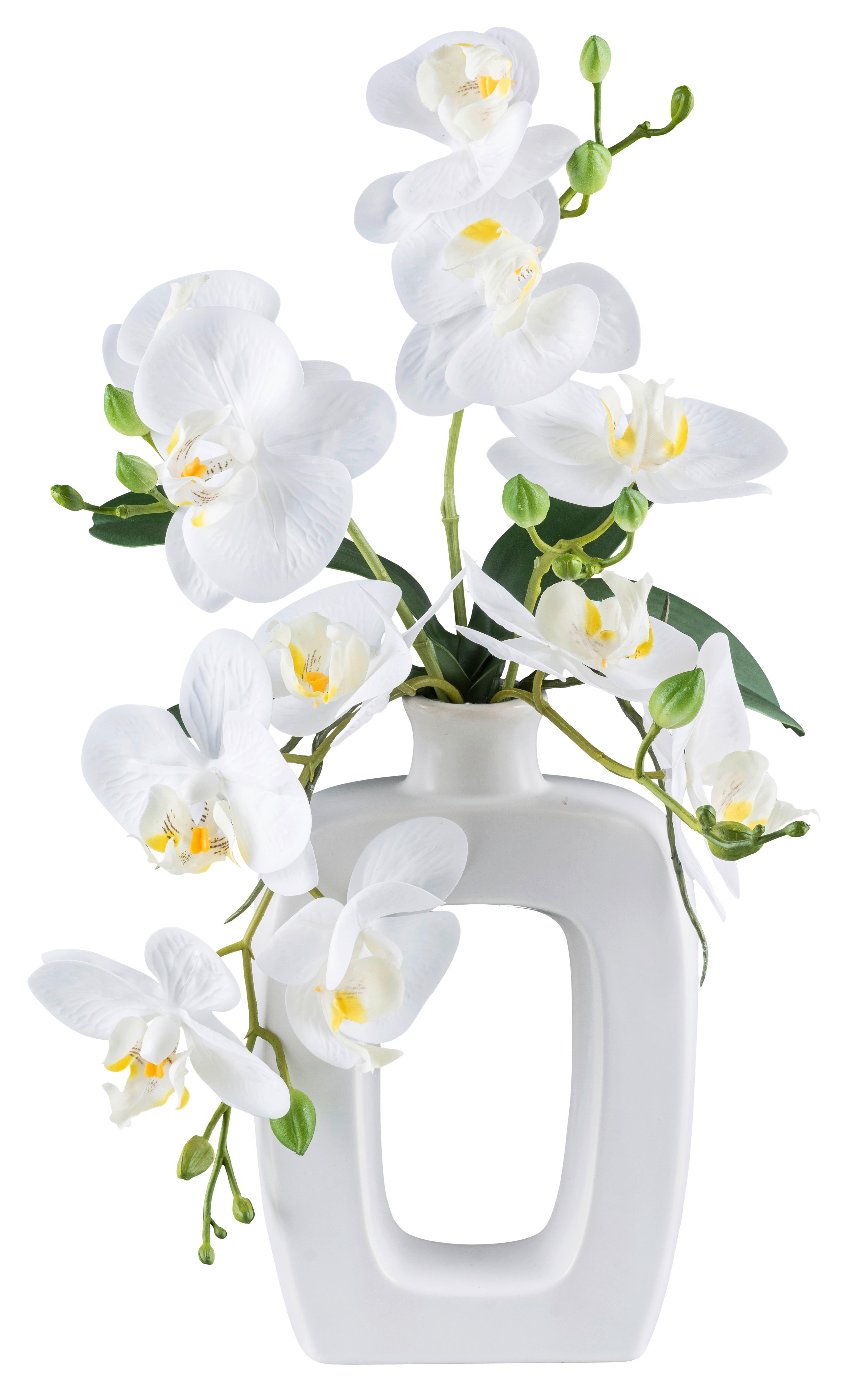 Kunstpflanze Phalaenopsis weiß Kunststoff B/H/L: ca. 16x42x17 cm günstig online kaufen