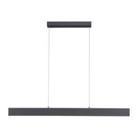 Paul Neuhaus LED-Pendelleuchte NILA 2548-13 anthrazit weiß Kunststoff Metall B/H/T: ca. 121x120x6 cm 2.0 Brennstellen NILA - weiß/anthrazit (121,00/120,00/6,00cm) - Paul Neuhaus