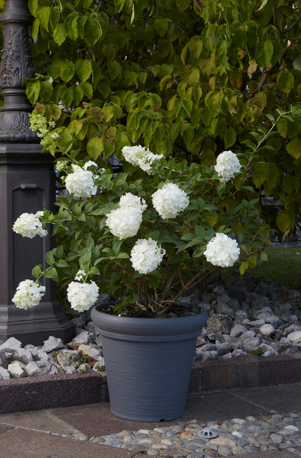 ProGarden Pflanztopf grau Kunststoff H/D: ca. 35x38 cm Pflanztopf - grau (38,00/35,00cm) - ProGarden