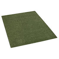 Teppich Tampa grün B/L: ca. 115x170 cm Tampa - grün (115,00/170,00cm)