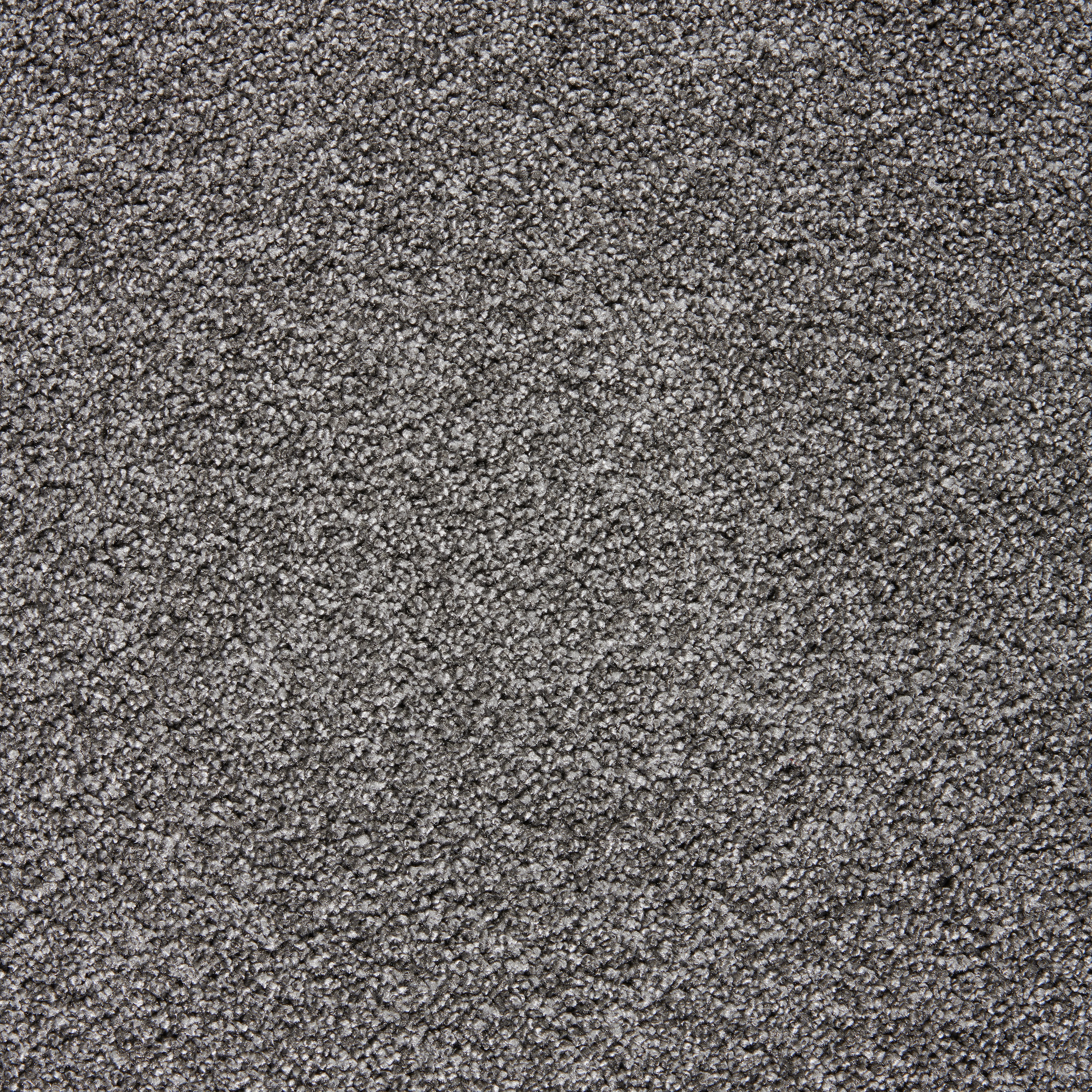 Teppichboden Focus grau B: ca. 400 cm pro m² Focus - grau (400,00cm)