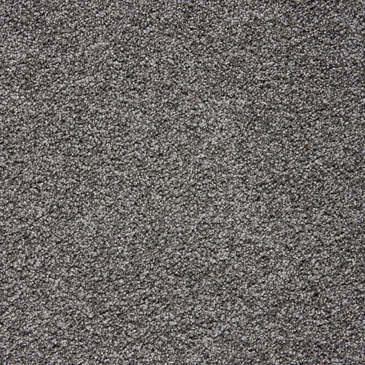 Teppichboden Focus grau B: ca. 400 cm pro m² Focus - grau (400,00cm)