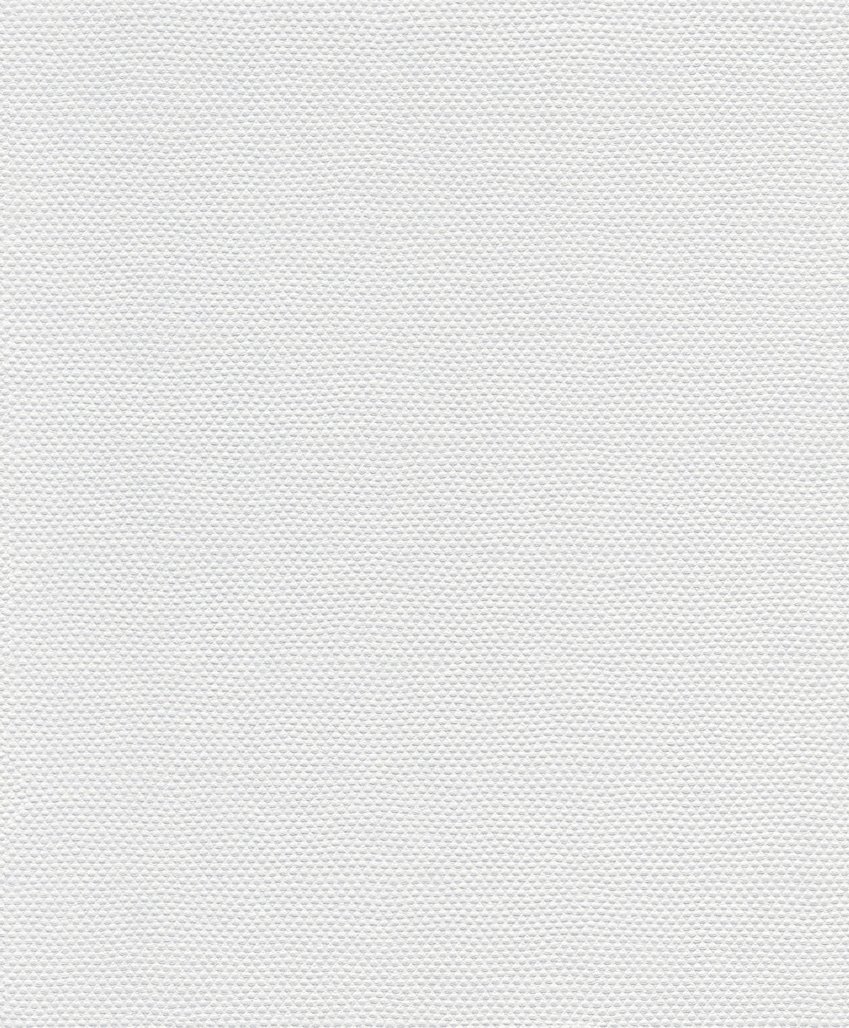 A.S.Creation Vliestapete Meistervlies 2020 Uni farblos B/L: ca. 53x1005 cm Meistervlies 2020 - farblos (53,00/1005,00cm) - A.S.Creation