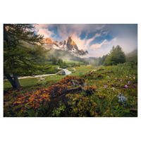 Komar Fototapete Morning Walk Landschaft B/L: ca. 368x254 cm Morning Walk - (368,00/254,00cm) - Komar