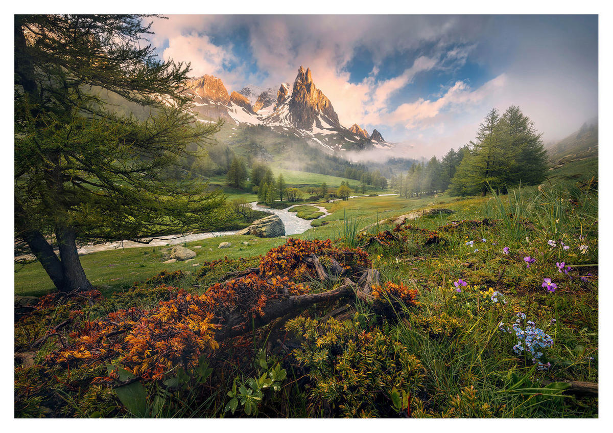 Komar Fototapete Morning Walk Landschaft B/L: ca. 368x254 cm Morning Walk - (368,00/254,00cm) - Komar