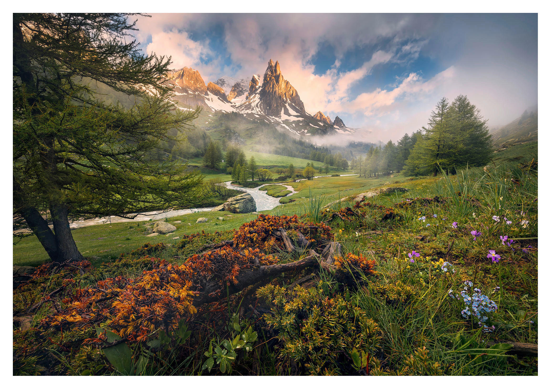 Komar Fototapete Morning Walk Landschaft B/L: ca. 368x254 cm