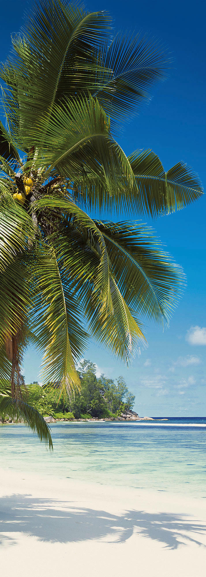 Komar Fototapete Coconut Bay B/L: ca. 100x280 cm Coconut Bay - (100,00/280,00cm) - Komar