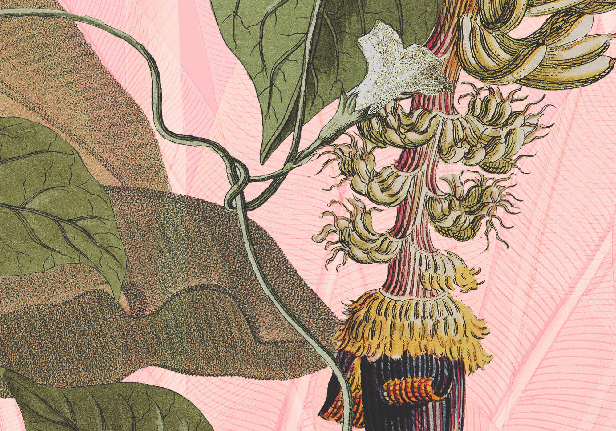 Komar Fototapete Plantation B/L: ca. 350x270 cm Plantation - (350,00/270,00cm) - Komar