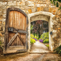 Keilrahmenbild Keilrahmenbild 35x35cm - (35,00/35,00cm)