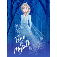 Komar Poster Frozen 2 Elsa true to myself Disney B/L: ca. 30x40 cm Frozen 2 Elsa true to myself - (30,00/40,00cm) - Komar