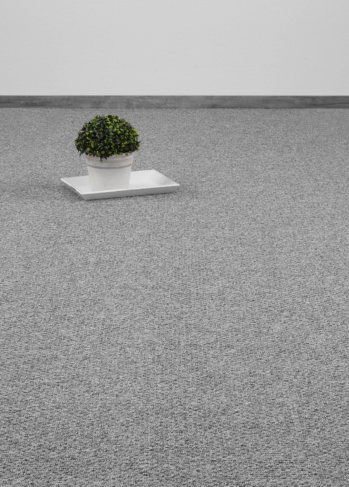 Teppichboden grau B: ca. 400 cm pro m² Teppichboden_Belfast 400cm 77 - grau (400,00cm)