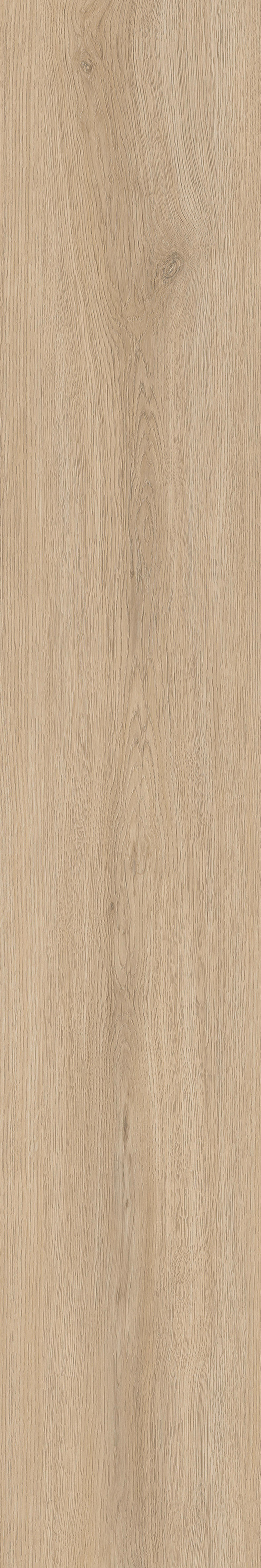 Vinylplanke Bright Oak, ca. 1,115 m² im Paket Eiche B/L: ca. 15,24x91,44 cm