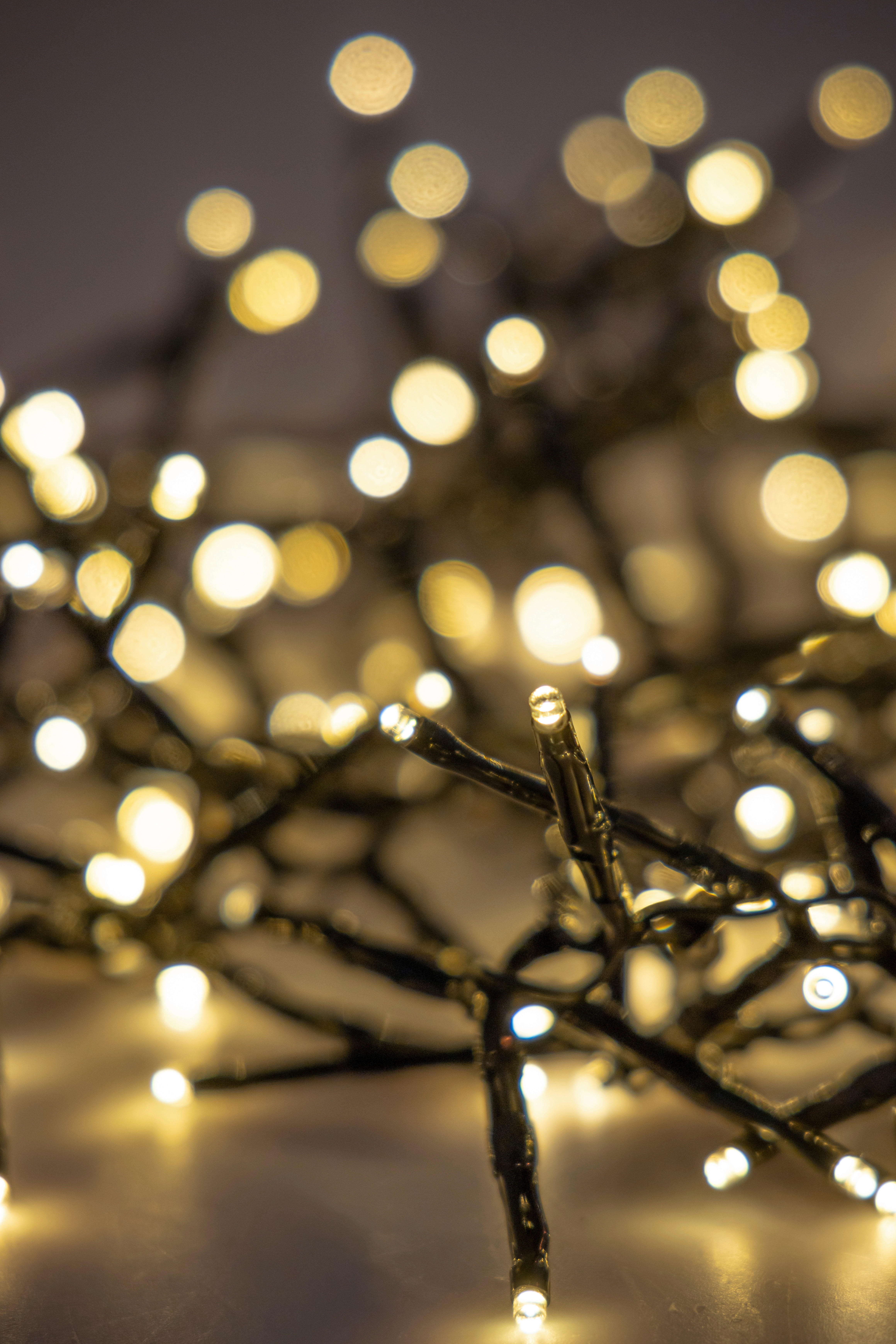 Beleuchtung Clusterlight_768er