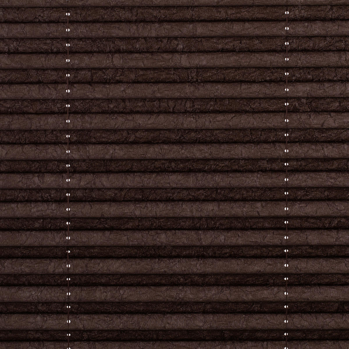 Spannplissee braun B/L: ca. 60x130 cm Plissee_Klemmfix - braun (60,00/130,00cm) - LICHTBLICK