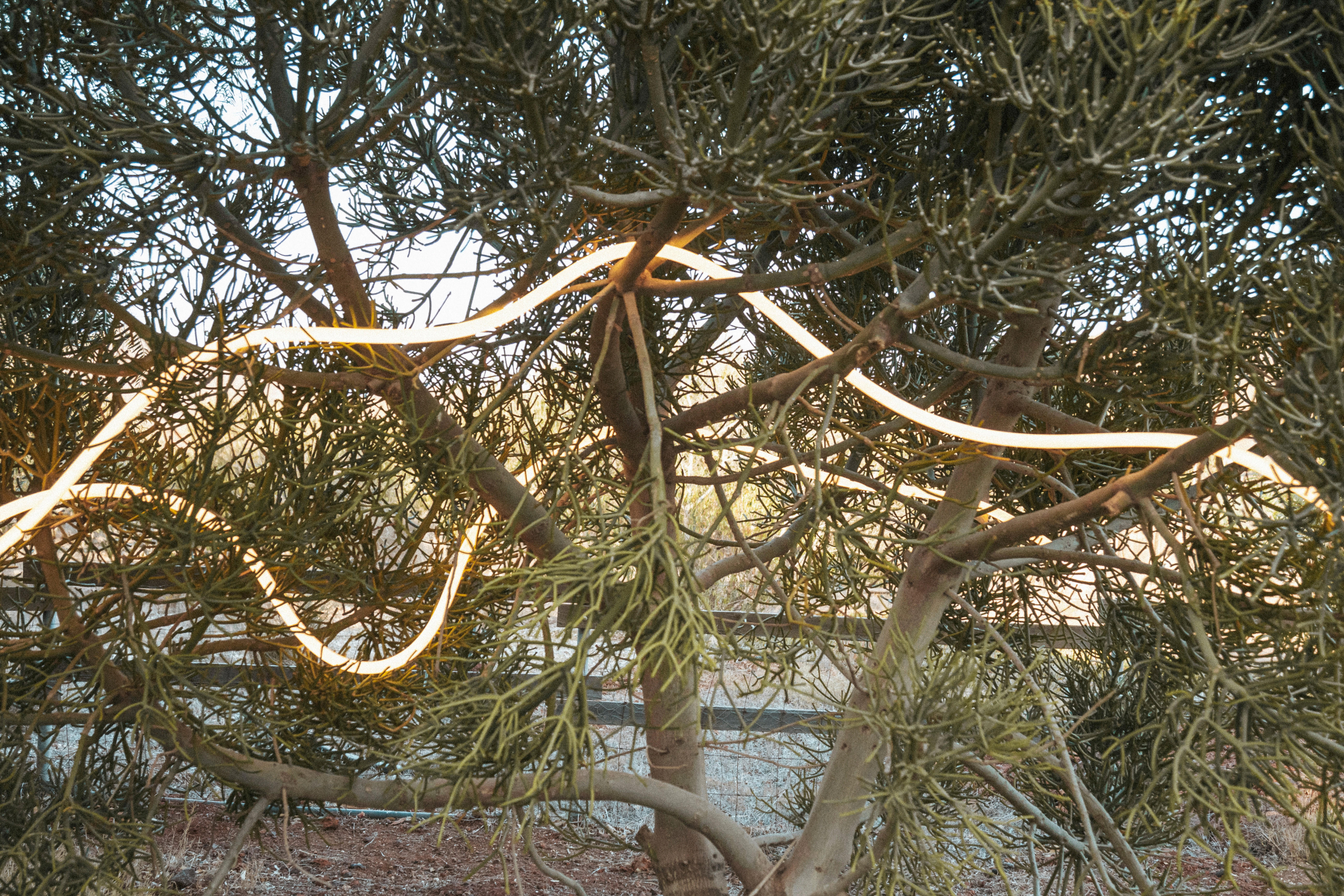NewGarden LED-Lichterkette NEO weiß B/H/L: ca. 3x3x700 cm NEO - weiß (700,00/3,00/3,00cm) - NewGarden