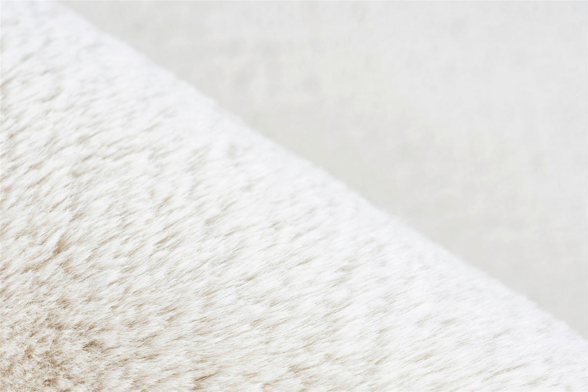 Kayoom Hochflorteppich Venezuela - Caracas Creme creme B/L: ca. 60x110 cm Venezuela - Caracas Creme - creme (60,00/110,00cm) - Kayoom