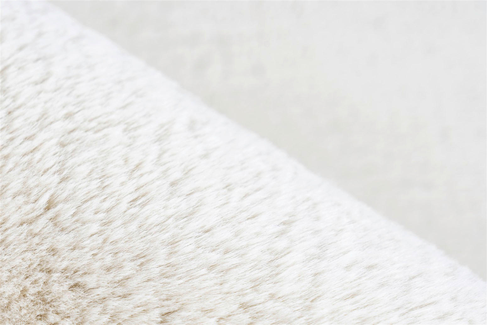 Thumbnail - Kayoom Hochflorteppich Venezuela - Caracas Creme creme B/L: ca. 60x110 cm