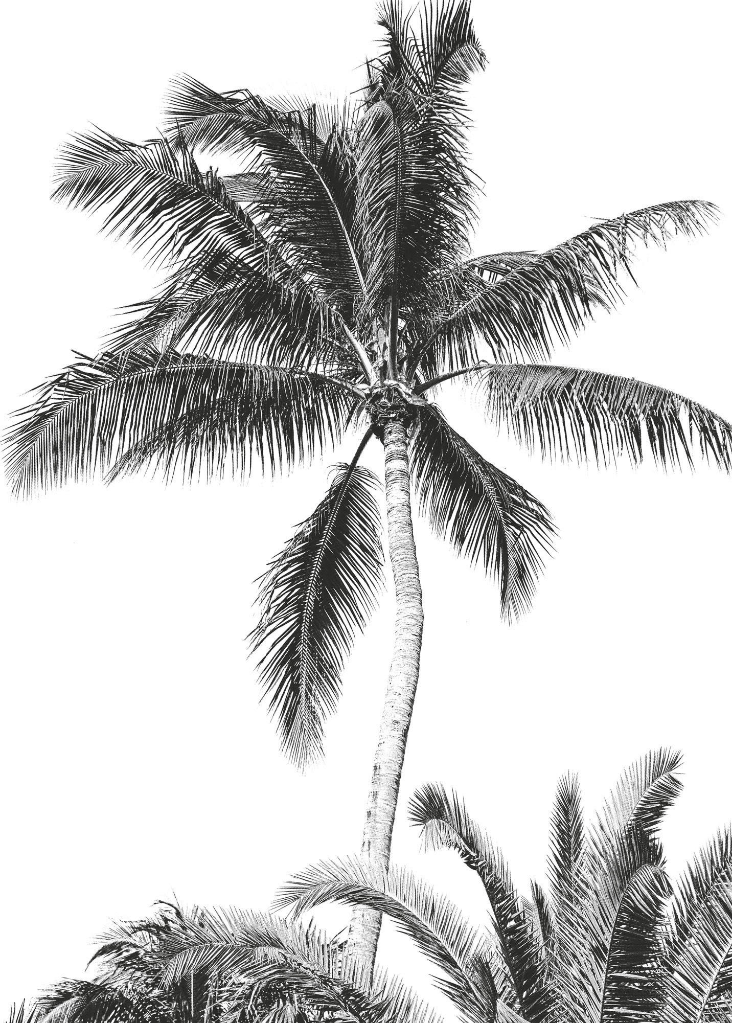Komar Fototapete Retro Palm B/L: ca. 200x280 cm Retro Palm - (200,00/280,00cm) - Komar