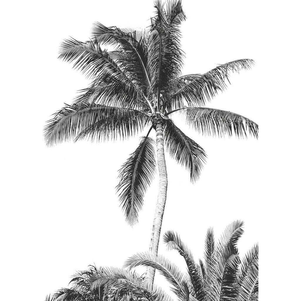 Komar Fototapete Retro Palm, glatt, bedruckt, Comic, Retro, mehrfarbig, BxH: 200x280 cm, glatt, bedruckt