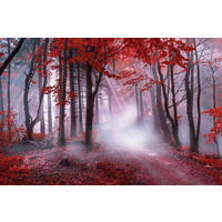 Bönninghoff Keilrahmenbild Wald B/L: ca. 118x78 cm Keilrahmenbild 78x118cm - (118,00/78,00cm) - Bönninghoff