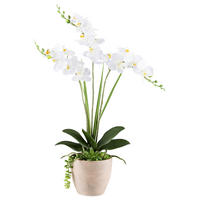 Kunstpflanze Phalaenopsis-Arrangement weiß Kunststoff B/H/L: ca. 17x55x17 cm Phalaenopsis-Arrangement - weiß (17,00/17,00/55,00cm)