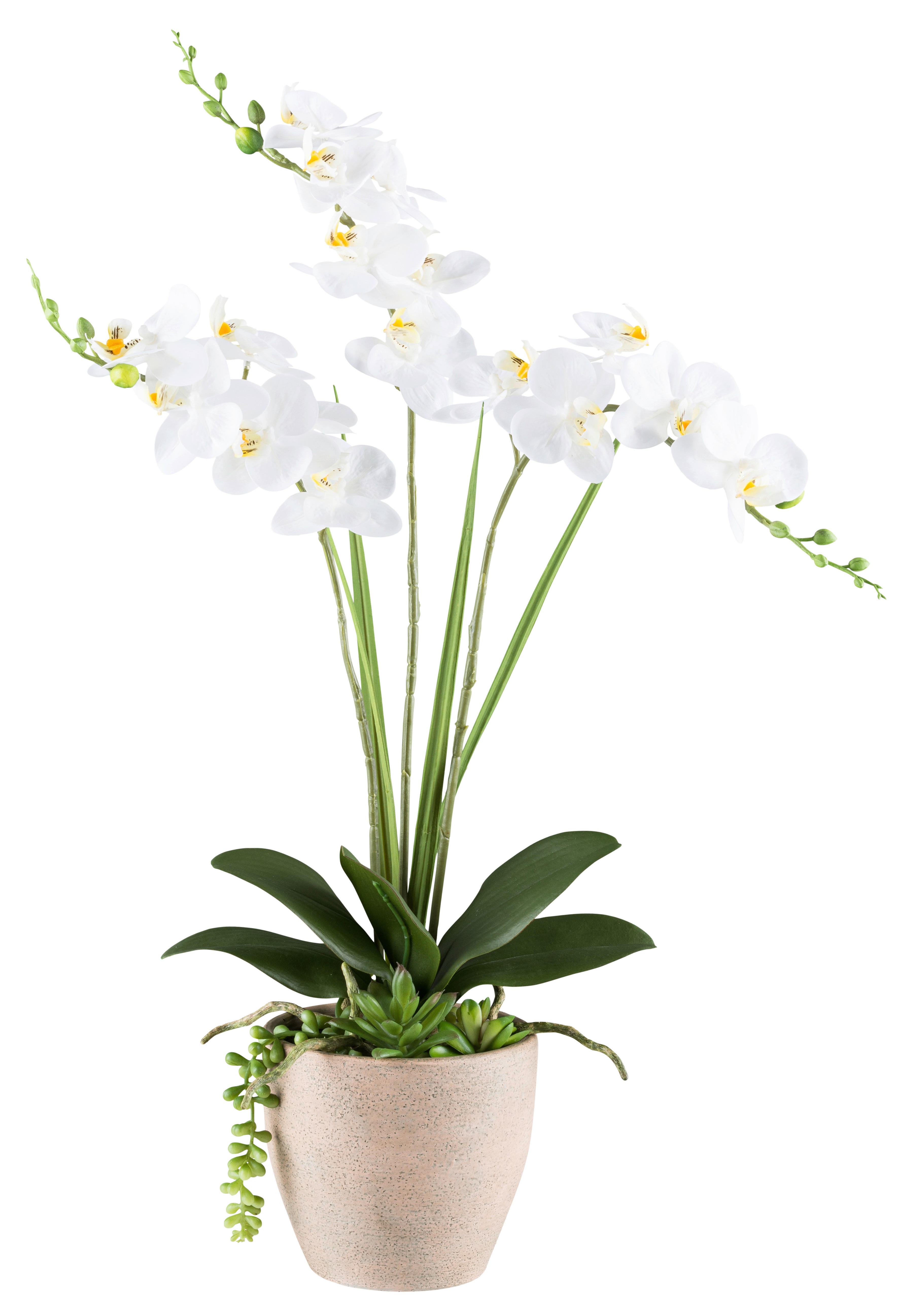 Kunstpflanze Phalaenopsis-Arrangement weiß Kunststoff B/H/L: ca. 17x55x17 c günstig online kaufen