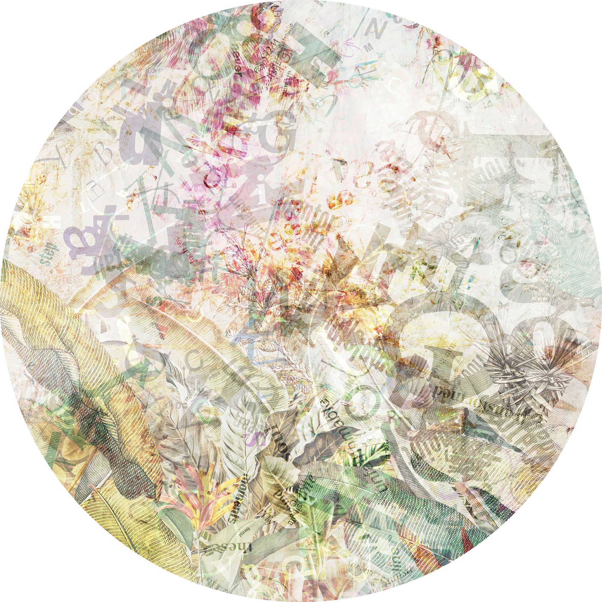 Komar Fototapete Round Stories D: ca. 125 cm Round Stories - (125,00cm) - Komar