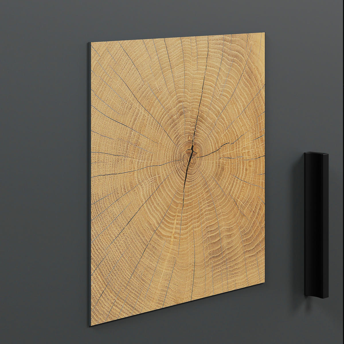 Wohnwand Tyler Eiche Evoke Coast Nachbildung anthrazit B/H/T: ca. 331x206x50 cm Tyler - Eiche/anthrazit (331,00/206,00/50,00cm)