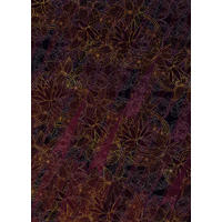 Komar Fototapete Lotus B/L: ca. 200x280 cm Lotus - (200,00/280,00cm) - Komar