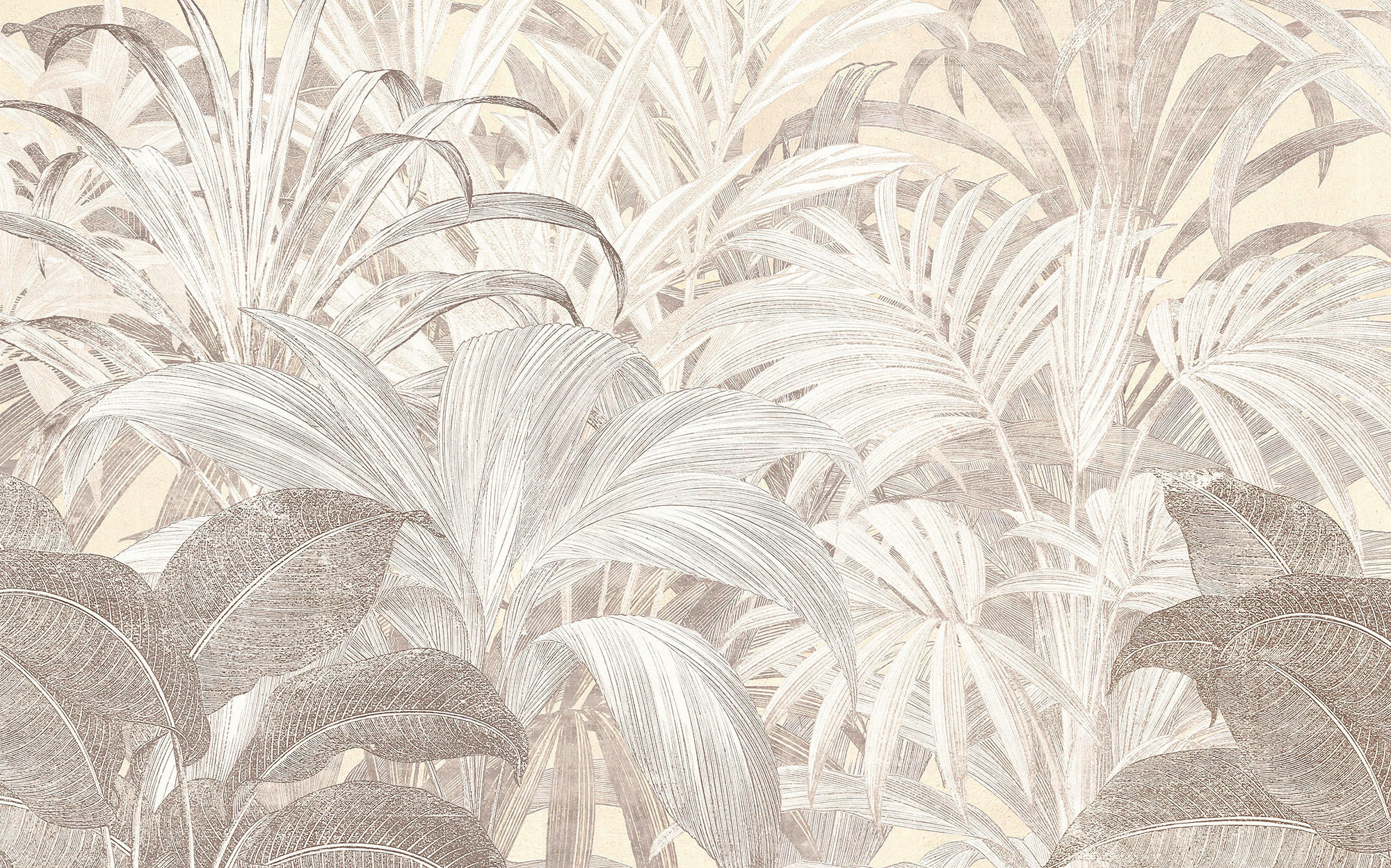 Komar Fototapete Summery Spot B/L: ca. 400x250 cm Summery Spot - (400,00/250,00cm) - Komar