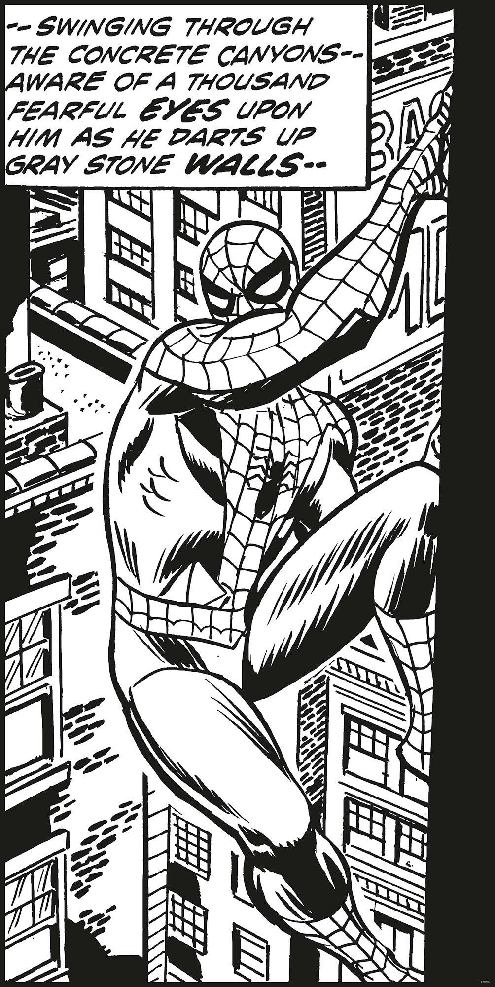 Komar Fototapete Spider-Man Classic Climb IADX2-085 schwarz weiß B/H: ca. 100x200 cm