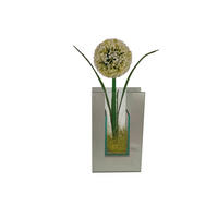 POCOline Vase klar Glas B/H/L: ca. 5,5x20x12 cm Spiegelvase_eckig - klar (12,00/5,50/20,00cm) - POCOline