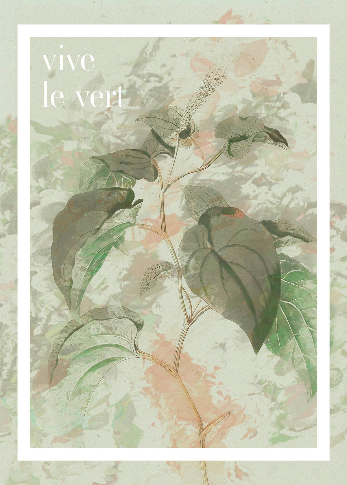Komar Poster Vive le vert Spruch B/L: ca. 50x70 cm Vive le vert - (50,00/70,00cm) - Komar